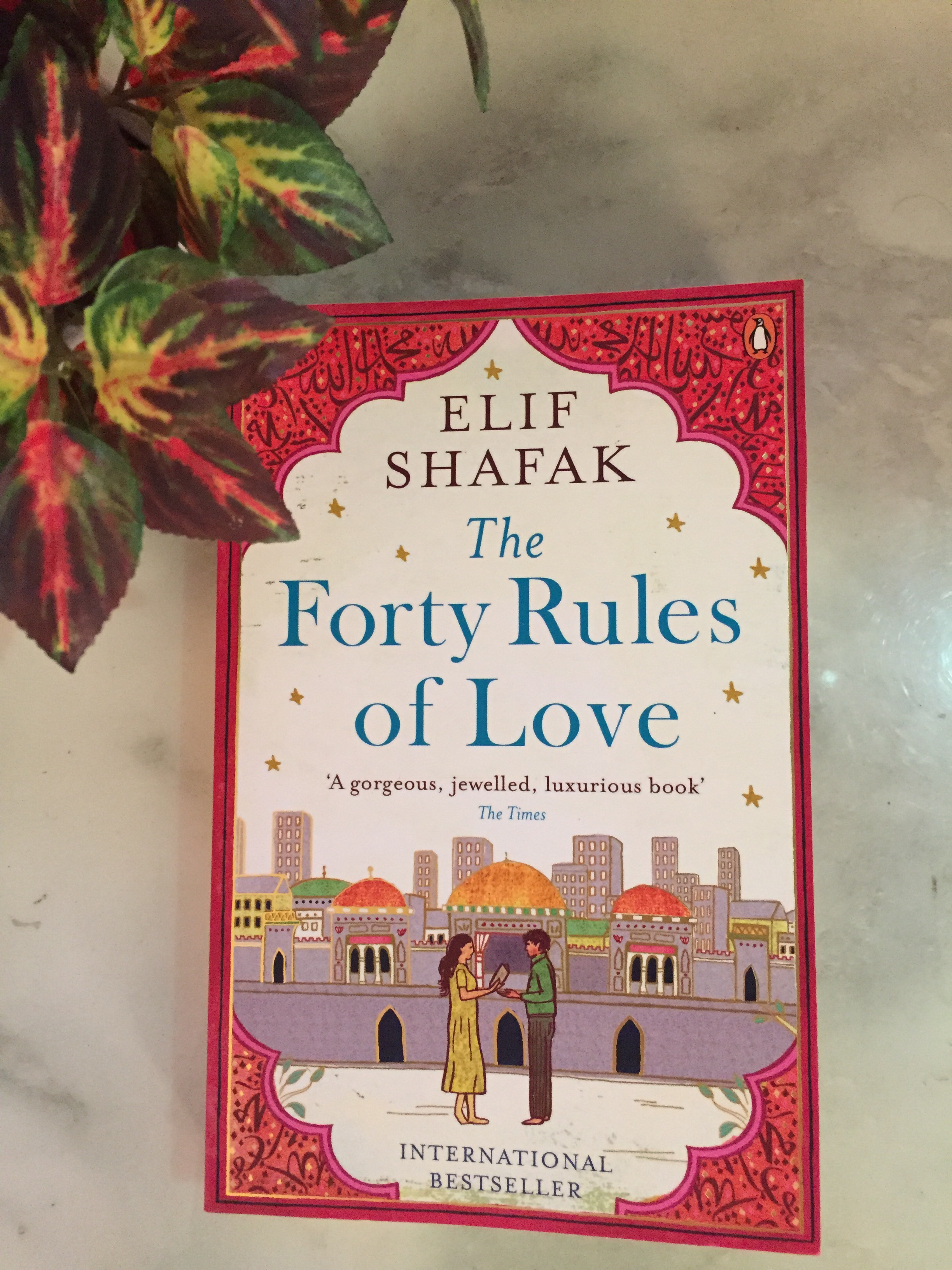 The Foty Rules Of Love- book review